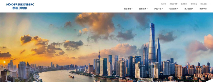 《恩福-中國》網(wǎng)站建設(shè)-蔚派VPA品牌數(shù)字化